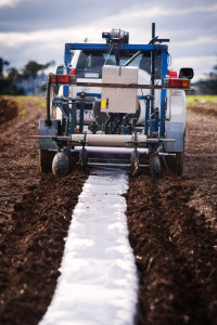 Laying the degradable polymer film with the direct seeder (credit: Birchip)