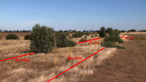 The difference between the ‘control’ (no film) and film sections of the field trials held in Birchip, Victoria (Credit: Julian Fisher)