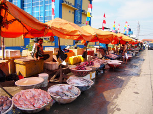 Fish form a large part of the diet for many living on small islands. Credit: Australia Indonesia Centre