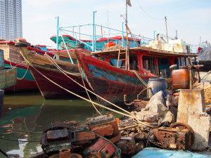 Local collaborators have provided valuable information on fisheries management. Credit: Australia Indonesia Centre