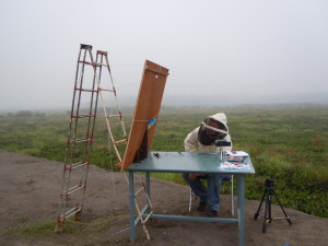 James Makinson filming a giant Asian honey bee (Apis dorsata) cluster in Chiang Rai province, northern Thailand. Data from this swarm was published in Makinson et al 2014.