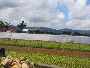 Local and national projects assessing clean energy options are underway by Indonesian and Australian scientists. Credit: Max Richter