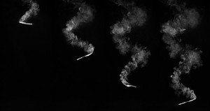 Flight of the Samara