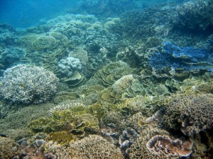 IMG_0058a