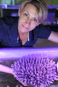 Line Bay of AIMS is part of the international team that found a genetic basis to temperature tolerance in coral. Credit: AIMS