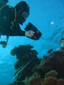 Scott Reef is an isolated group of three reefs near the edge of north-western Australia's continental slope. A collaborative research program has been running at Scott Reef for almost twenty years (credit J Gilmour)