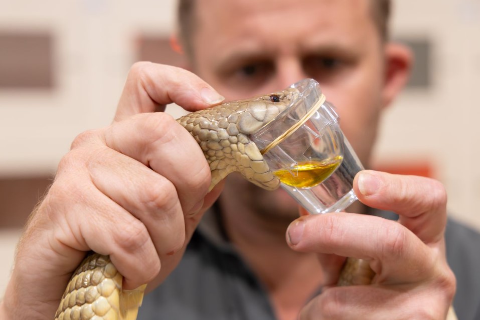 Giant Poo Palace. Milking snakes. Devil cancer. And the surprising beauty of slime moulds.