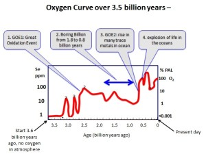 Schematic figure of the major findings of the paper.
