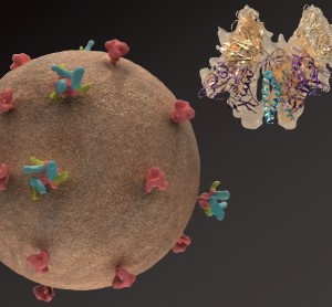 Model of an HIV virus, captured using electron microscope