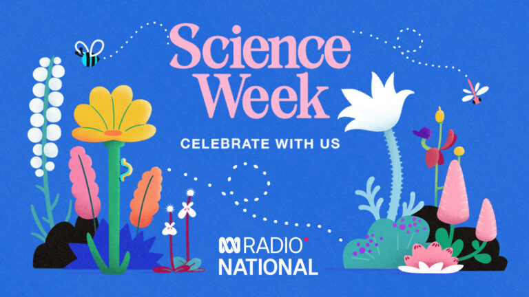 Vote now for Australia’s most amazing wildflower this Science Week