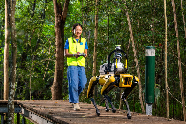 Tassie’s dark sky. Underground farm. Robot responders. Health history in a vintage caravan.