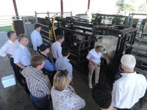 The single injection vaccine project team on site in Queensland (Credit: Alexander Wissemeier)