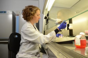 Dr Kathryn Davidson at work in the laboratory Dr Kathryn Davidson at work in the laboratory