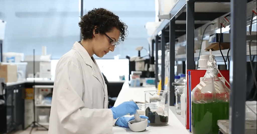 Researcher Charlene Trestrail grinds sample using a mortar and pestle.