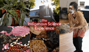 Indigenous Science Experience