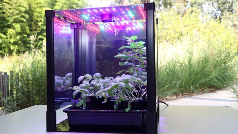 Space farmers wanted!