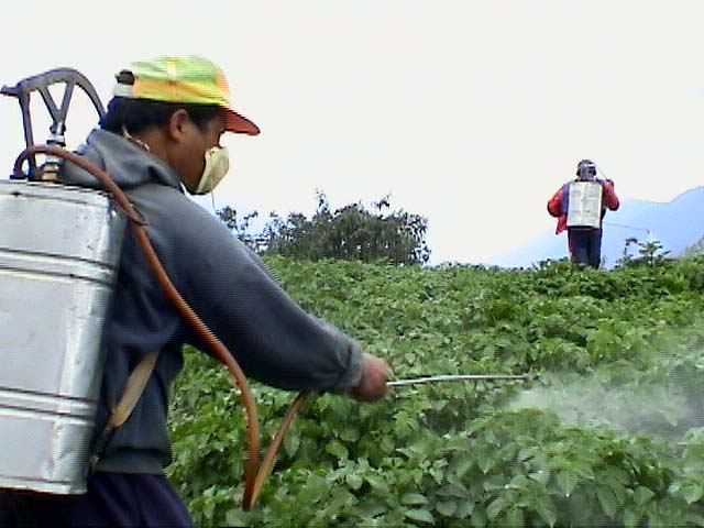 pesticide_spray1a.jpg